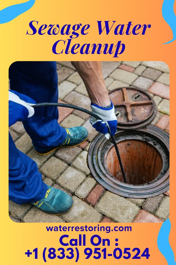 Sewage Water Cleanup in South Beloit, IL