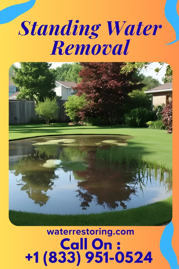 Standing Water Removal in South Beloit, IL